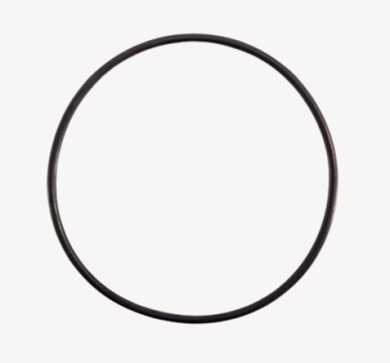 Joint de couvercle du préfiltre 26646FR INTEX