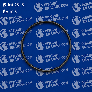 Joint de couvercle de filtre a cartouche HAYWARD C800/1100/1500