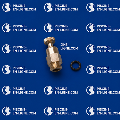 Purge d'air INOX Jupiter/Galatic/Titan NM (s'adapte au 101D014-I)