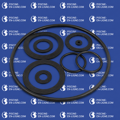 Joints pour filtre Python et RTM (BWT)