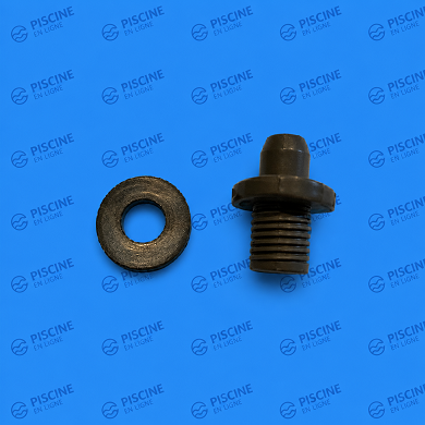 Adaptateur + joint de chlorinateur (HAYWARD)