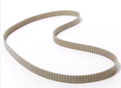 Courroie de transmission pour DOLPHIN  MAGIC et LUMINOUS