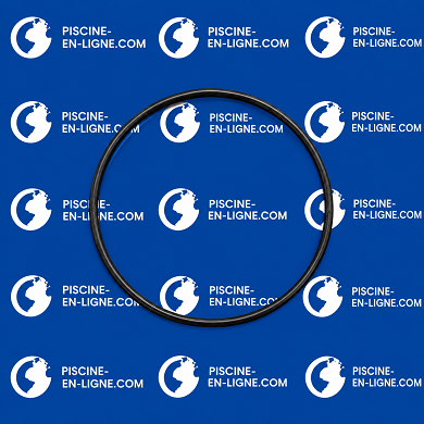 Joint de couvercle de pompe EMAUX / SMG