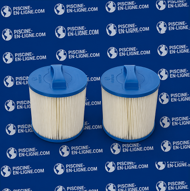 Cartouche pour FB12 (carton de 2 cartouches)