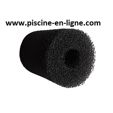 Brosse de queue/mousse adaptable POLARIS