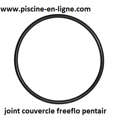 Joint de couvercle Freeflo PENTAIR