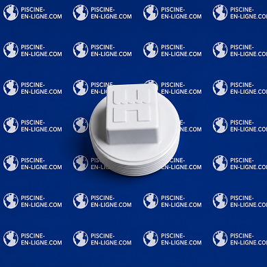 Bouchon de prise balai MIP 1 1/2''et Refoulement (HAYWARD)