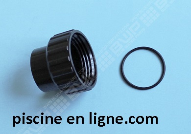 Raccord union complet 50 mm de pompe Power-Flo II (HAYWARD)