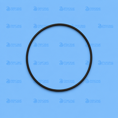 Joint torique coupole filtre SERIE PRO+corps MXL/MXLVSD(3660231031326