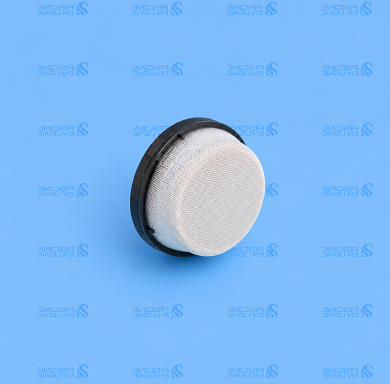 Crépine de purge automatique pour TRITON AVT MI 2000 (G191329)PENTAIR