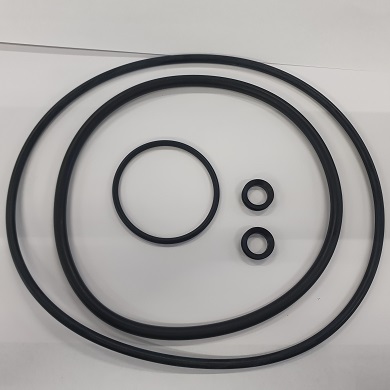 Joints o-ring de carter et pour ZDER253 de pompe EUROPRO 3/4/1cv
